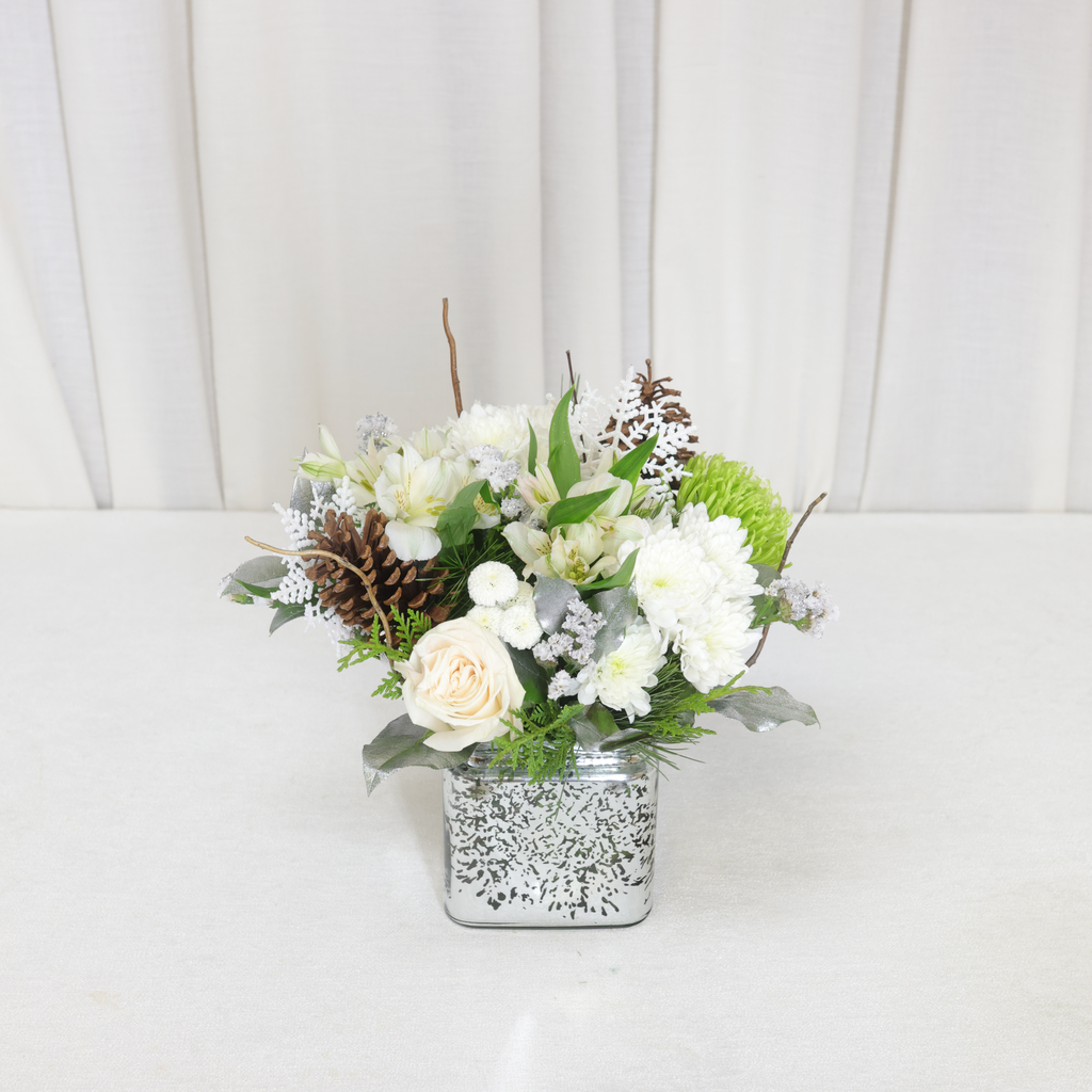 Arctic White