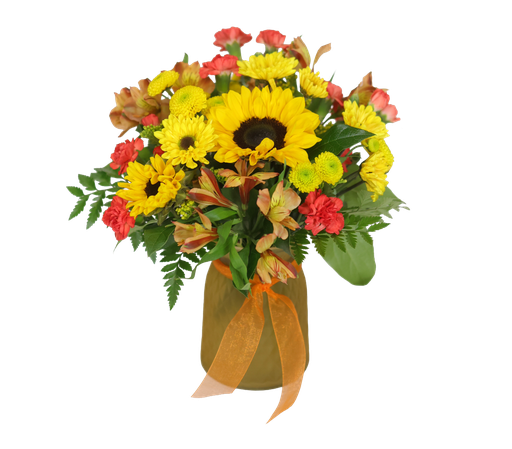 Designer Choice Arrangement